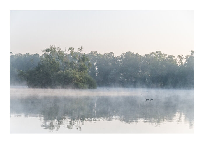 <p>Mayday 2025: Burham Mere. There is nothing quite like a misty morning in the Fens. Photo: Cat Thompson</p>