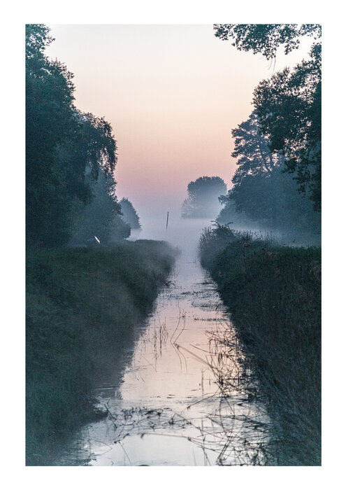 <p>photo: Cat Thompson</p>